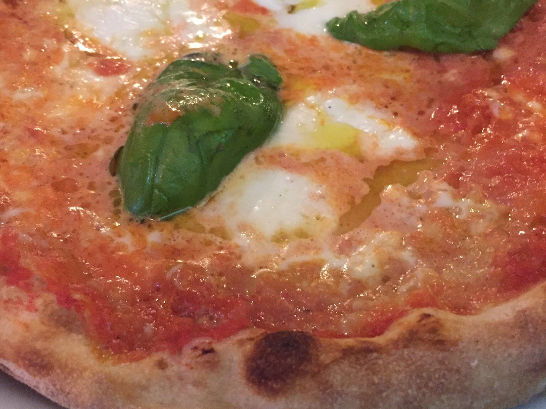 ZAFER - Pizza Cibo Bevanda