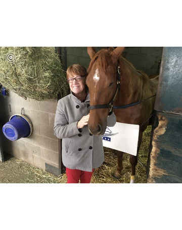 Horse Farm Tours-列克星敦必去景点