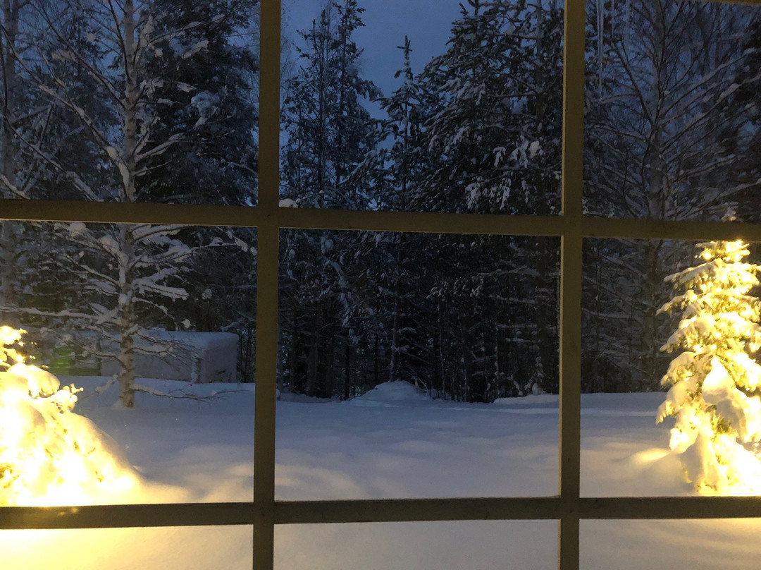 拉普兰熊之家酒店主图