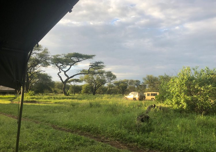 Green Hills Lodge主图