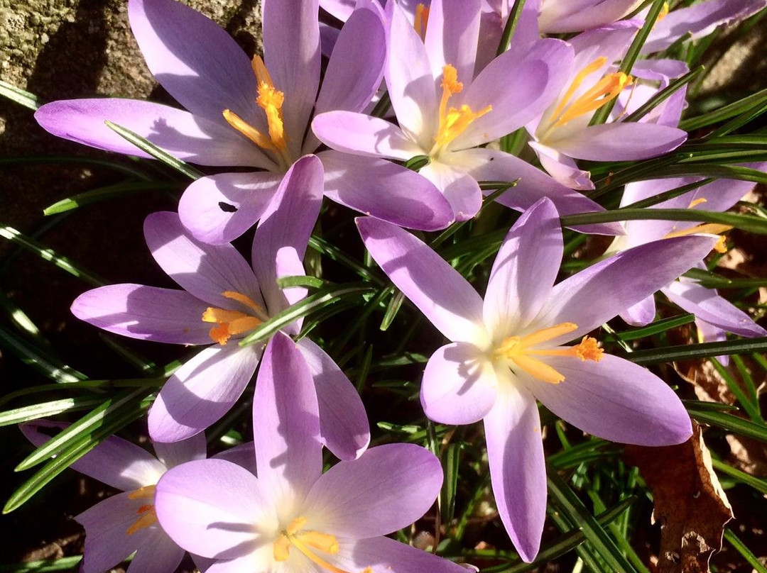 Hürth Park-Hürth必去景点