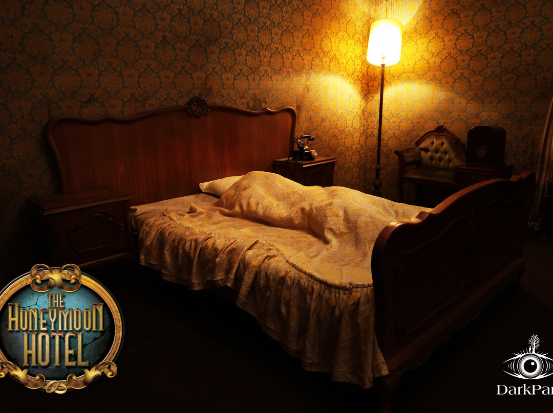 DarkPark-Zoetermeer必去景点