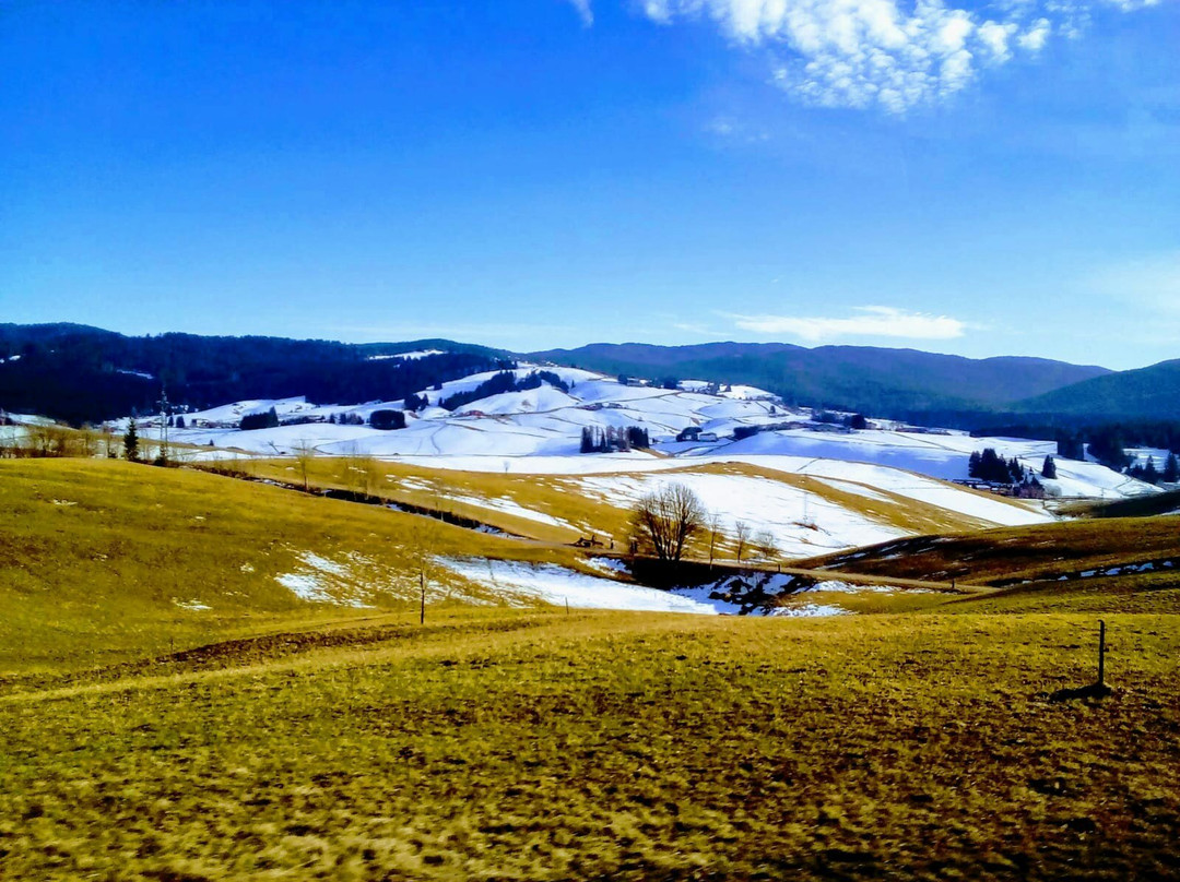 Albergo Ristorante Al Laghetto主图