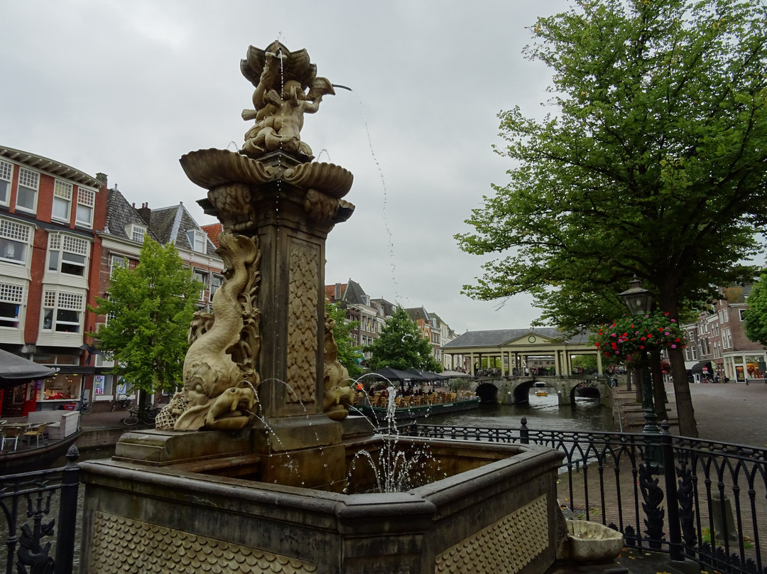 Vismarktfontein-莱顿必去景点