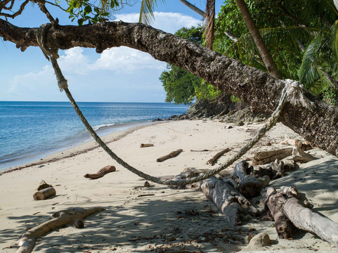 Iguana Beach Eco Resort主图