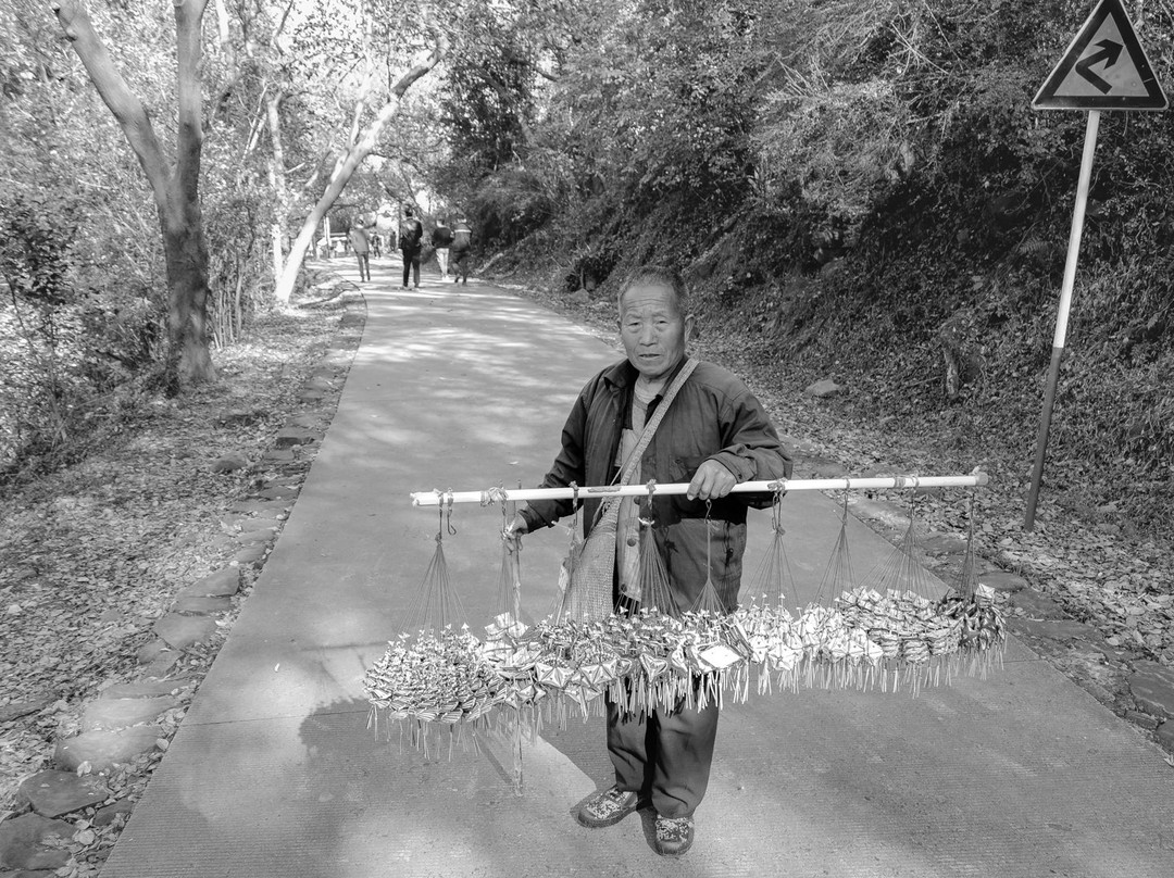 蜀山春晓-合肥市必去景点