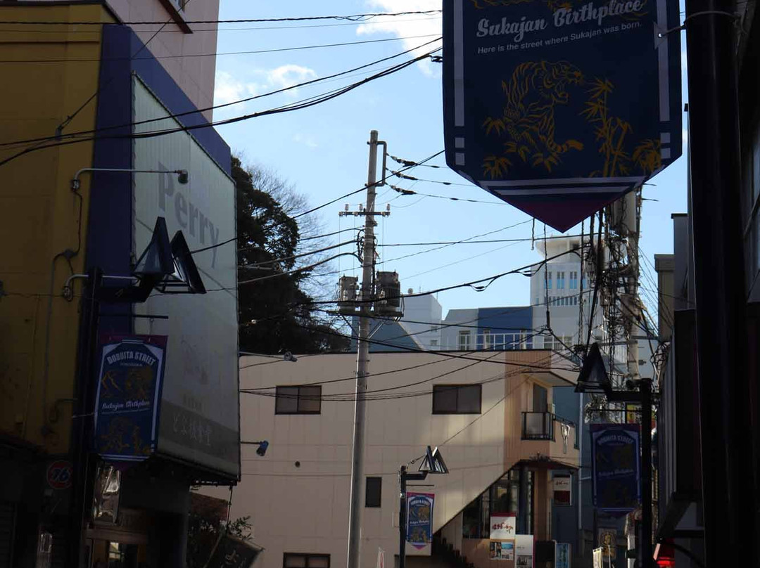 Dobuita Shopping Street景点图片