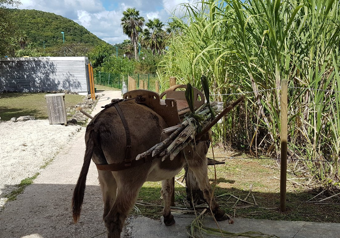 Le Moulin de Val d'Or-Sainte-Anne必去景点