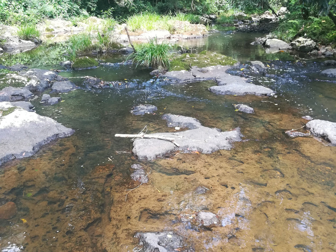 Mocona Virgin Lodge主图