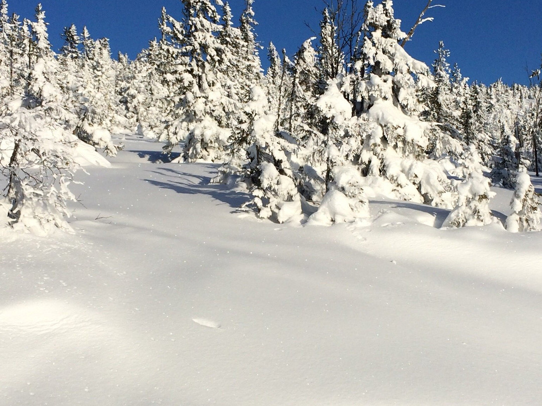 Norefjell Skiresort景点图片