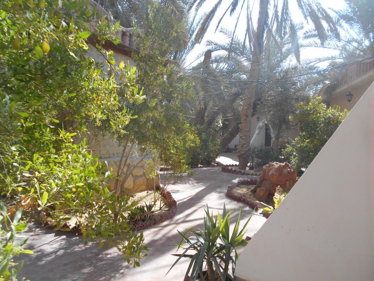 Siwa Safari Paradise Hotel & Tourist Village-酒店景观