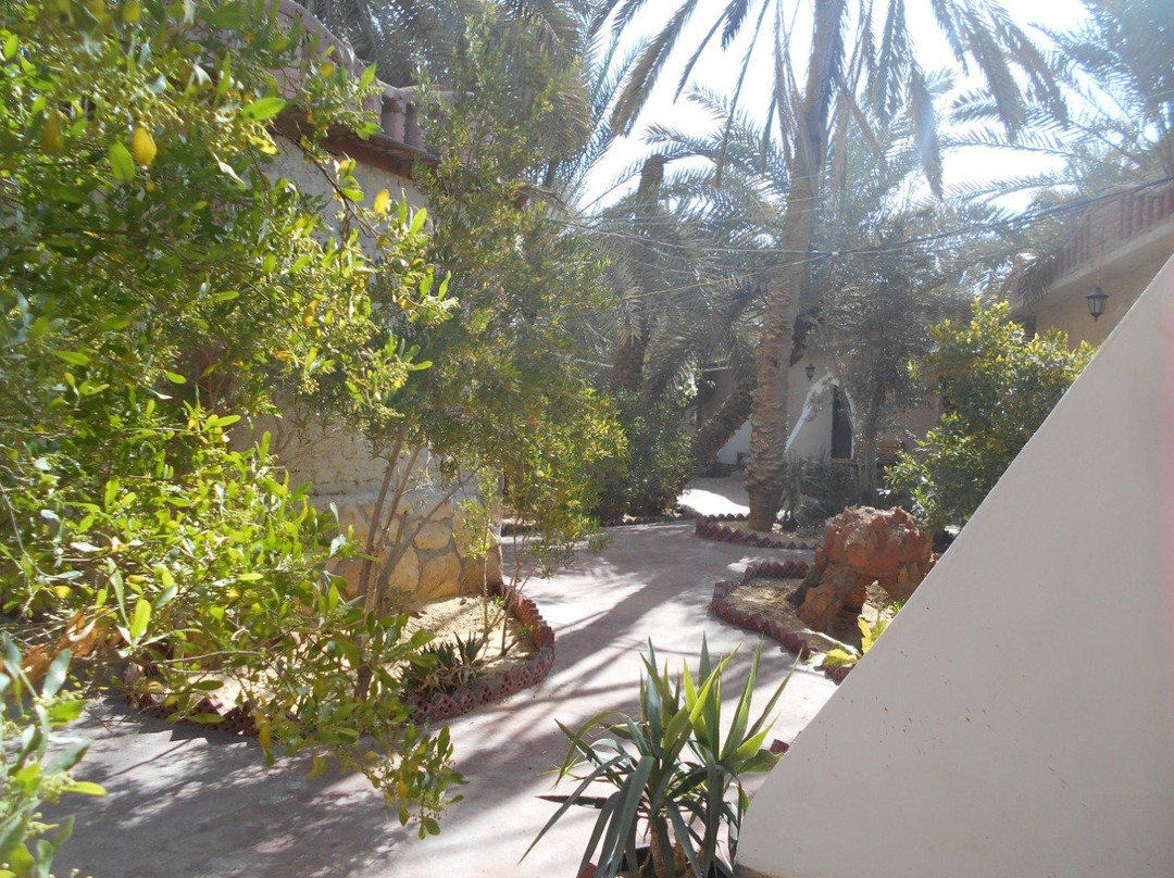Siwa Safari Paradise Hotel & Tourist Village主图