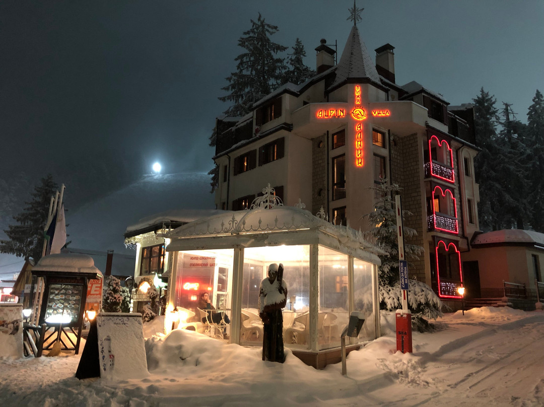 阿尔卑斯酒店主图