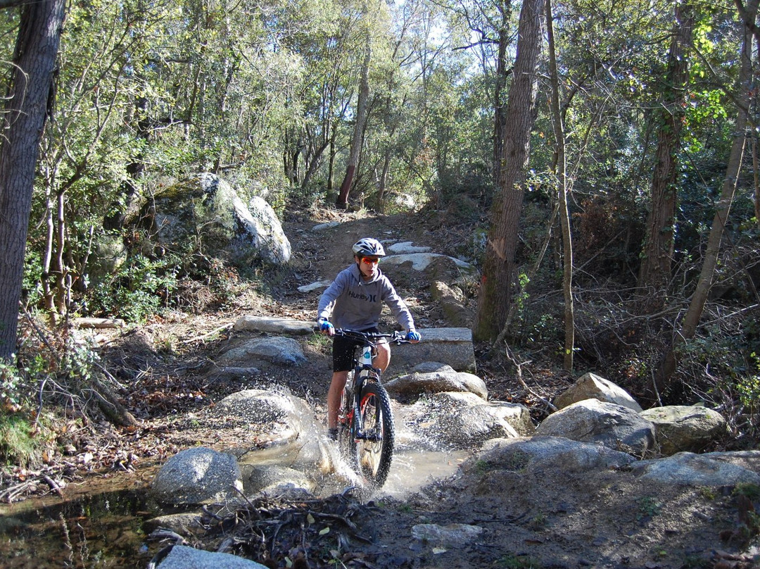E-bikes Tramuntana景点图片