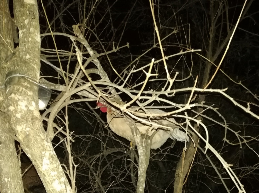 Climbing House主图