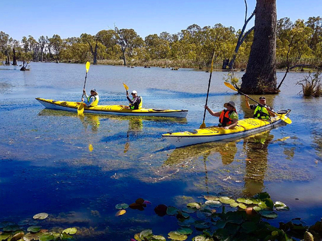Murray River Adventures-Cohuna必去景点