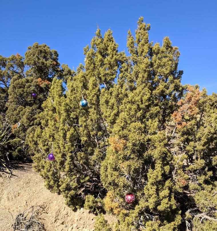 Christmas Tree Pass-拉芙琳必去景点