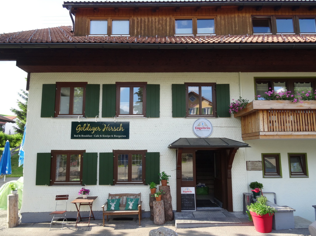 Goldiger Hirsch