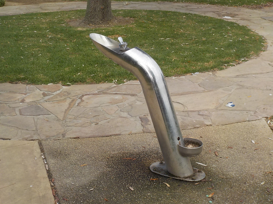 Black Rock Gardens-Black Rock必去景点