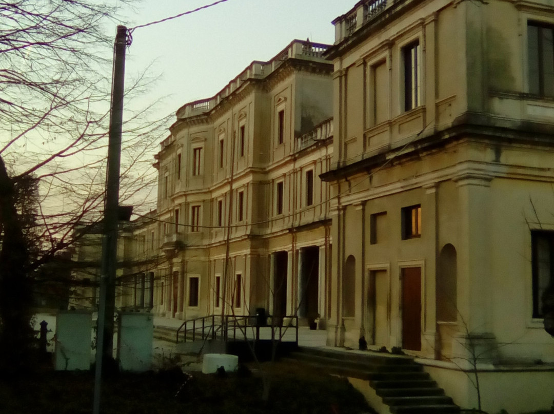 Villa Farsetti景点图片