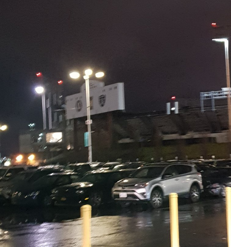 甲骨文球馆-奥克兰必去景点