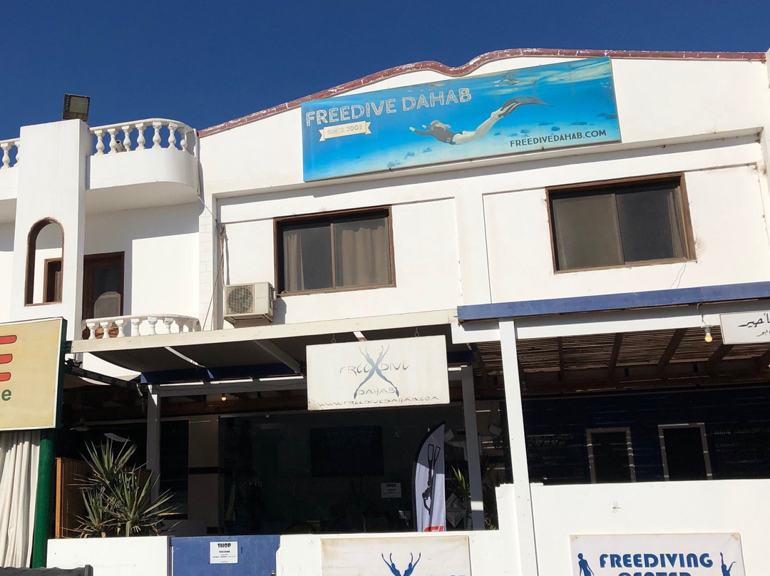 Freedive Dahab-达哈卜必去景点