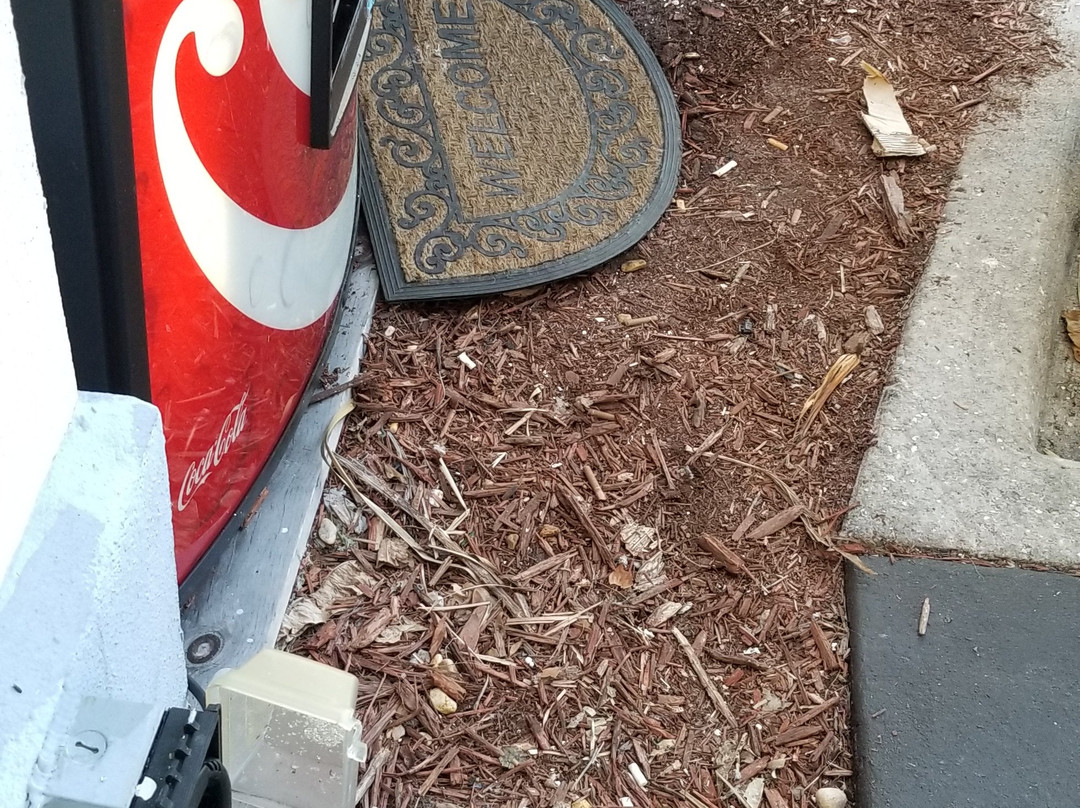 Best Western Lake Okeechobee主图