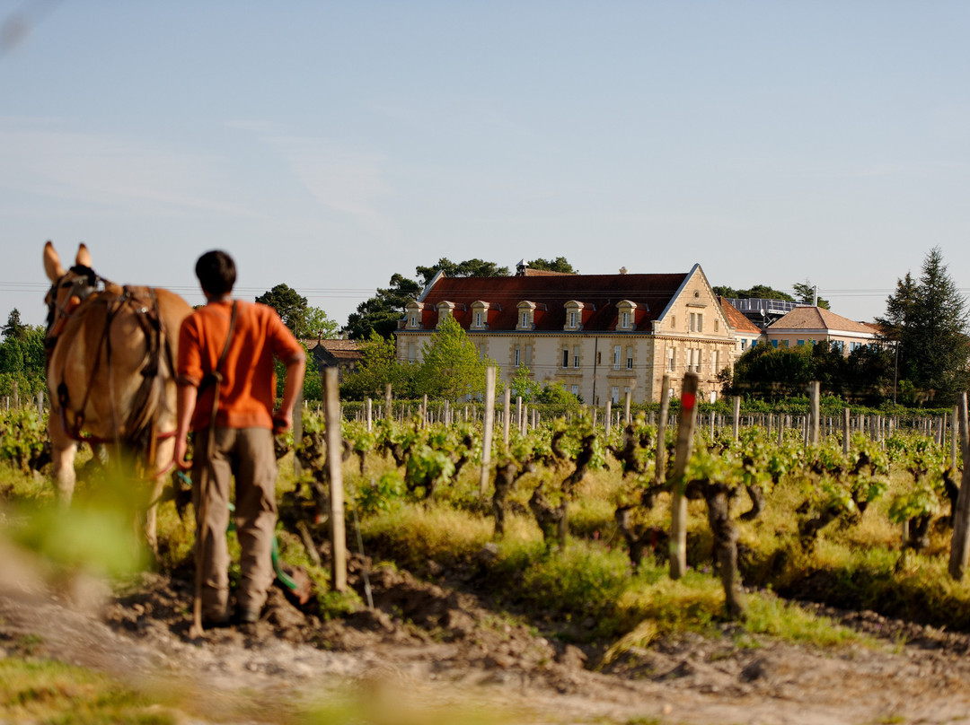 Domaine de la Solitude景点图片