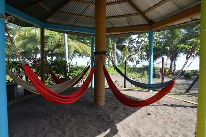 Hotel El Icaco Tortuguero主图