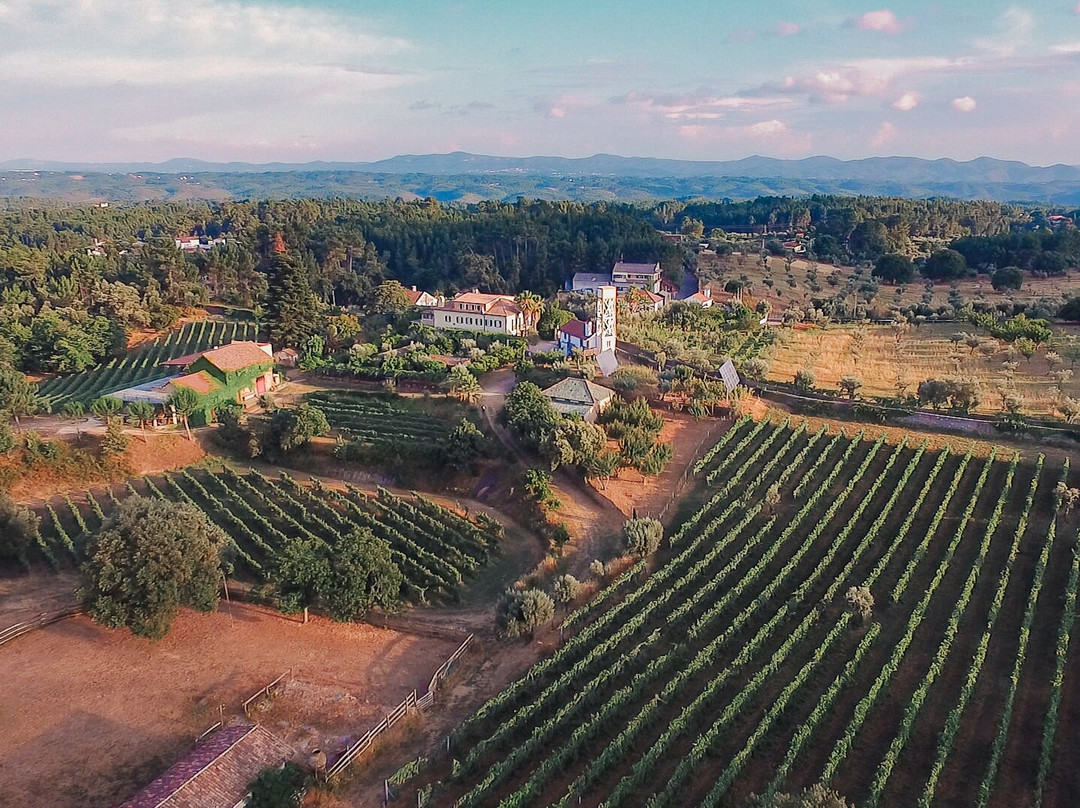 Pedrogao Pequeno旅游攻略图片