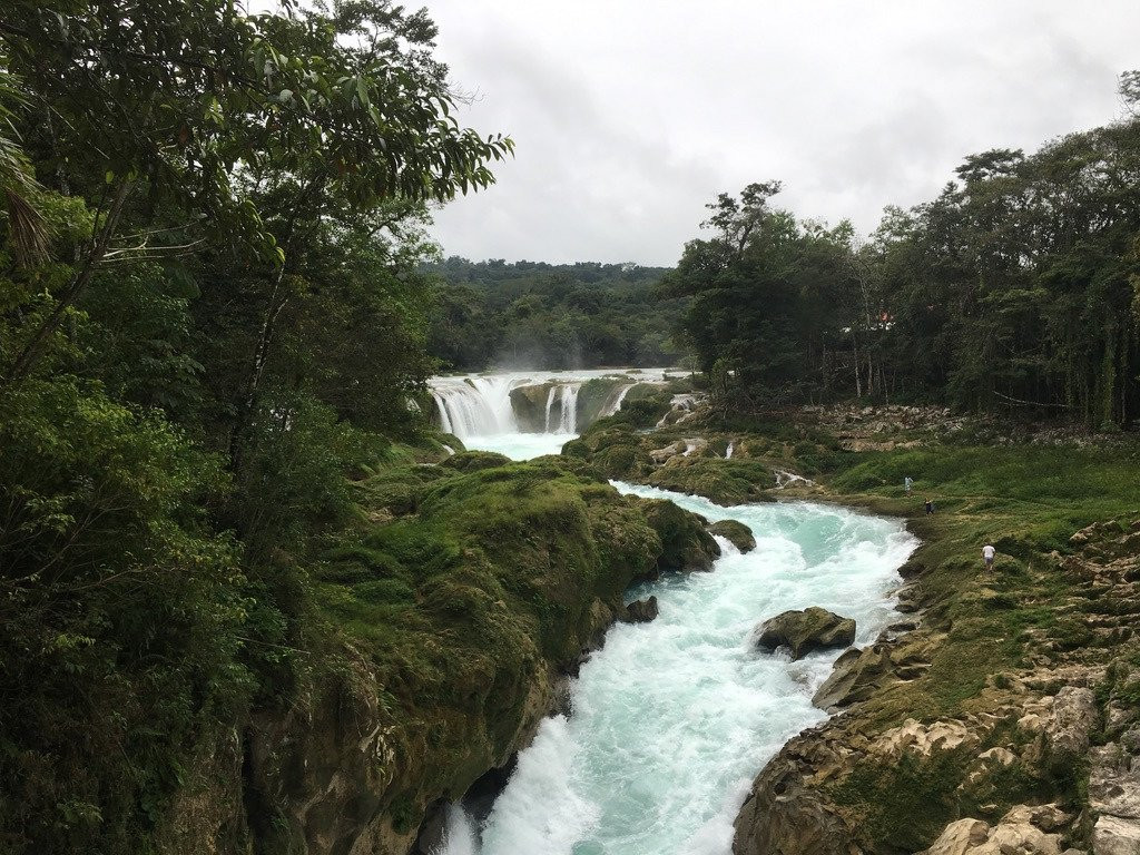 Ecolodge Las Nubes主图