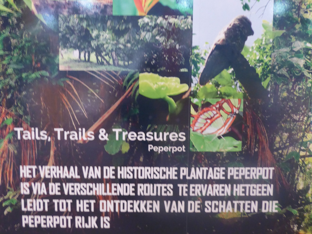 Peperpot Nature Park-Meerzorg必去景点