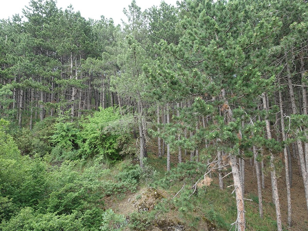 贝尔福德雷尔酒店主图