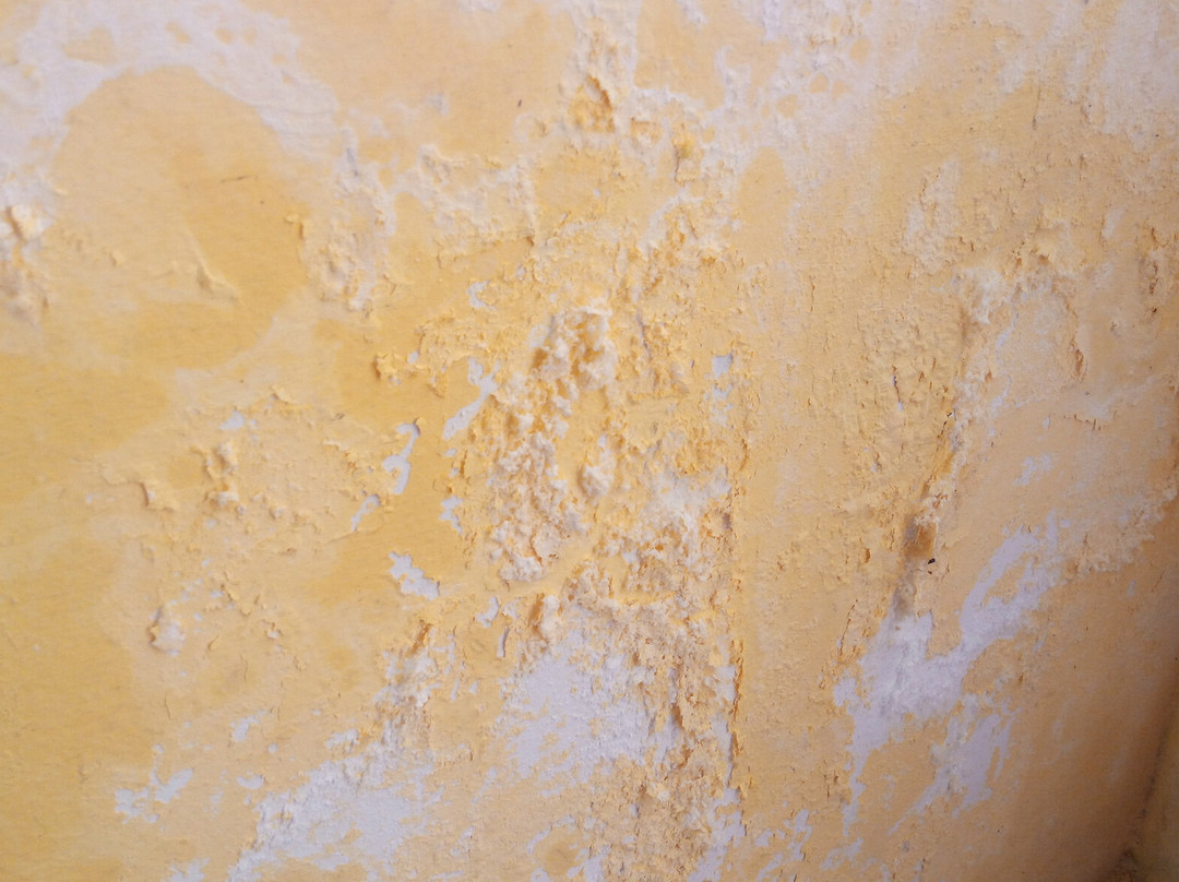 OYO 3020 Sheelisach Inn主图