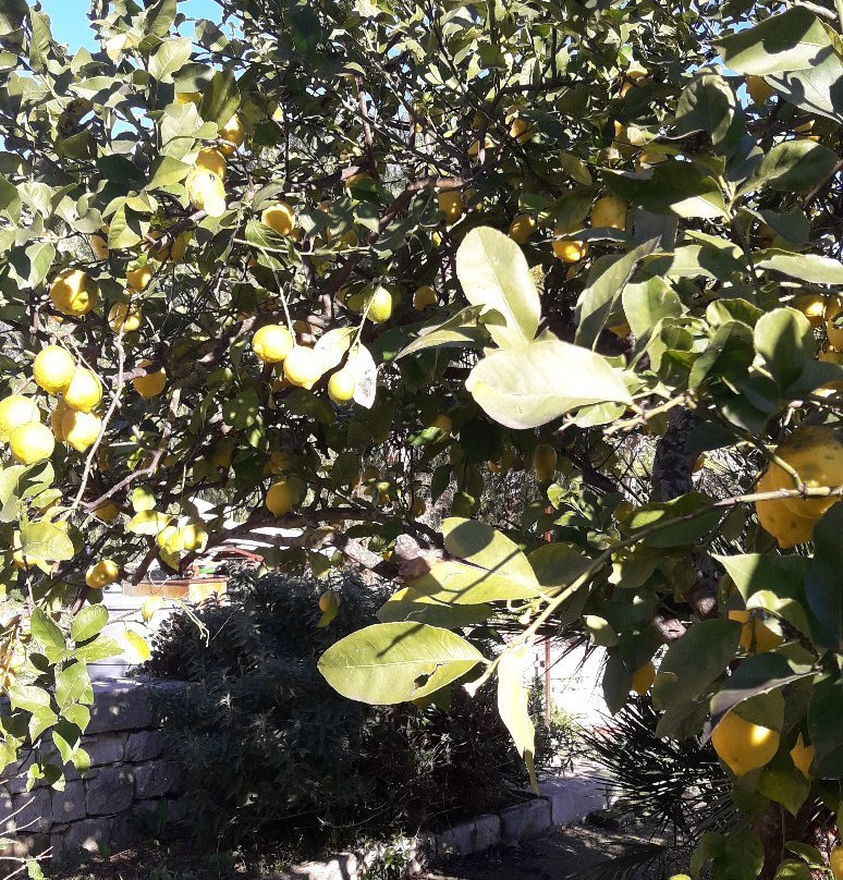 Modica Garden Resort主图