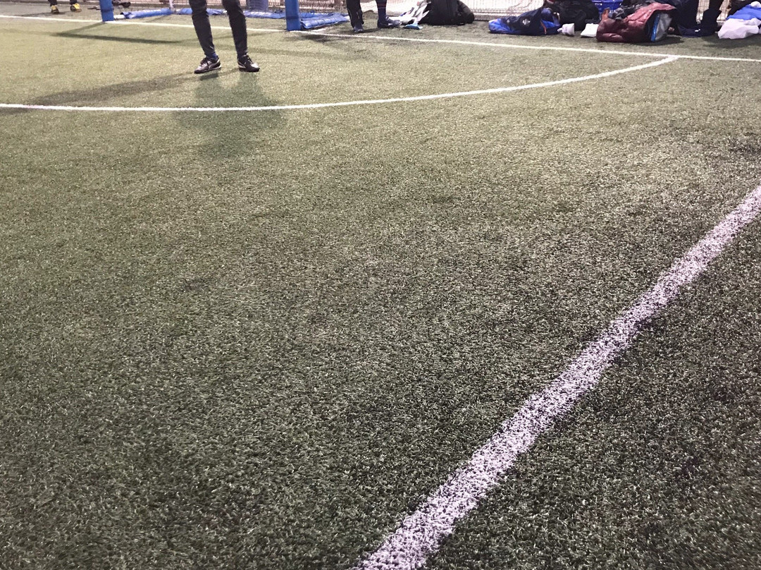 Tatekawa Riverbed Park Futsal Field-Kameido必去景点