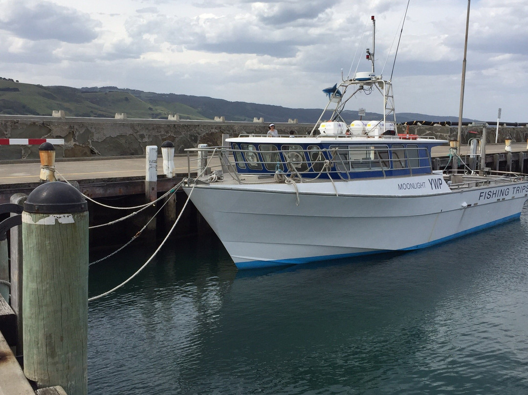 Apollo Bay Fishing & Adventure Tours景点图片