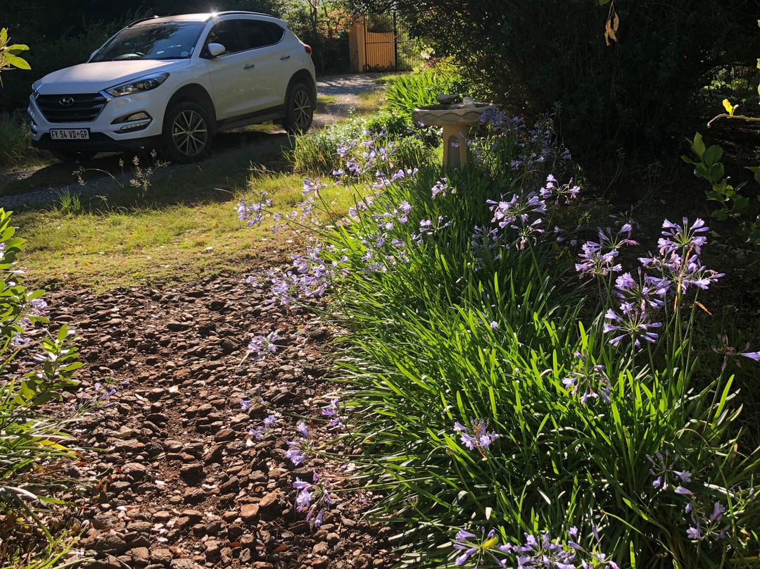 Granny Mouse House主图