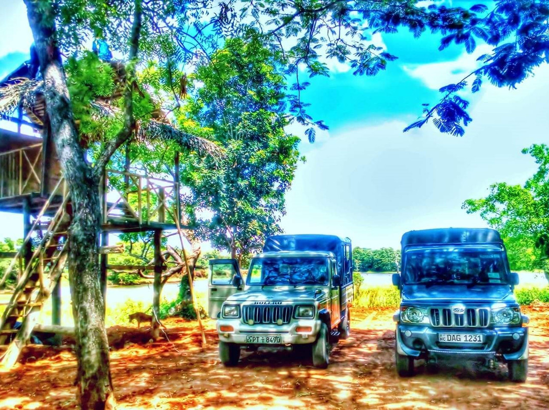 Lake View Jeep Safari景点图片