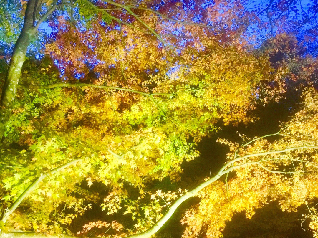 Awamatanotaki Waterfall-大多喜町必去景点