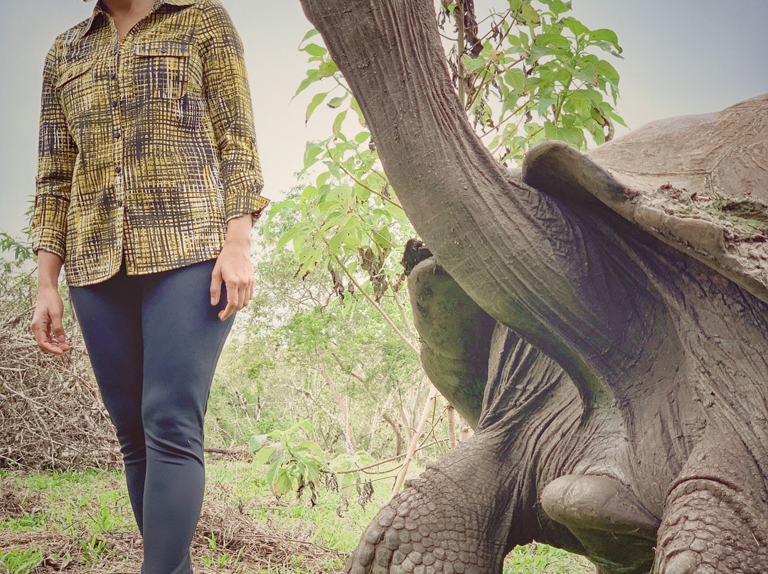 GreenGo Travel-基多必去景点