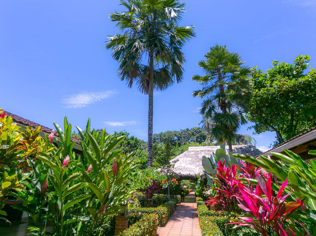 Hotel Escape Caribeño主图