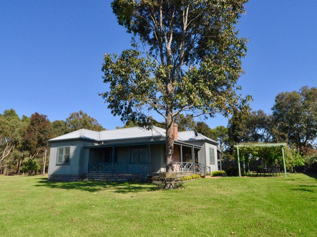 Lighthouse Extra Virgin Olive Oil & Farmstay-Drysdale必去景点