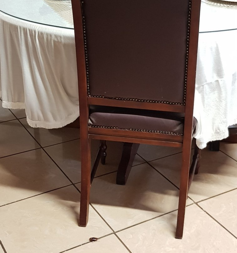 Sinawe Guesthouse主图