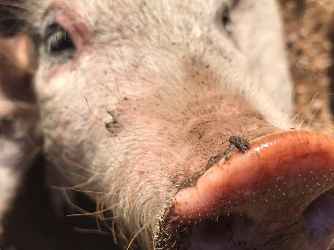 Bramleigh Manor主图