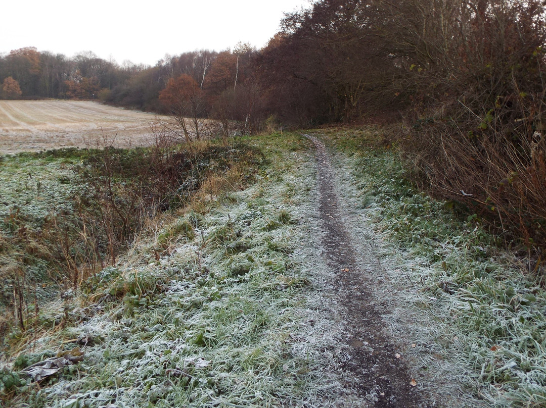 Sidings Lane Nature Reserve景点图片