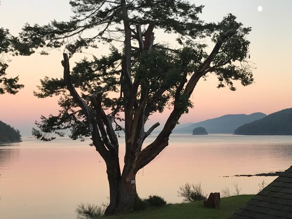 Mayne Island Resort-酒店景观