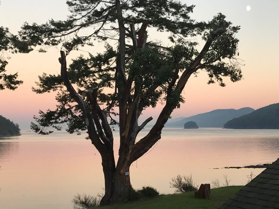 Mayne Island Resort主图