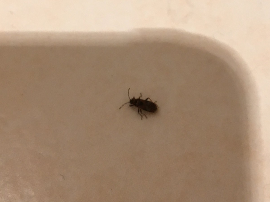 Hanging Lake Inn主图