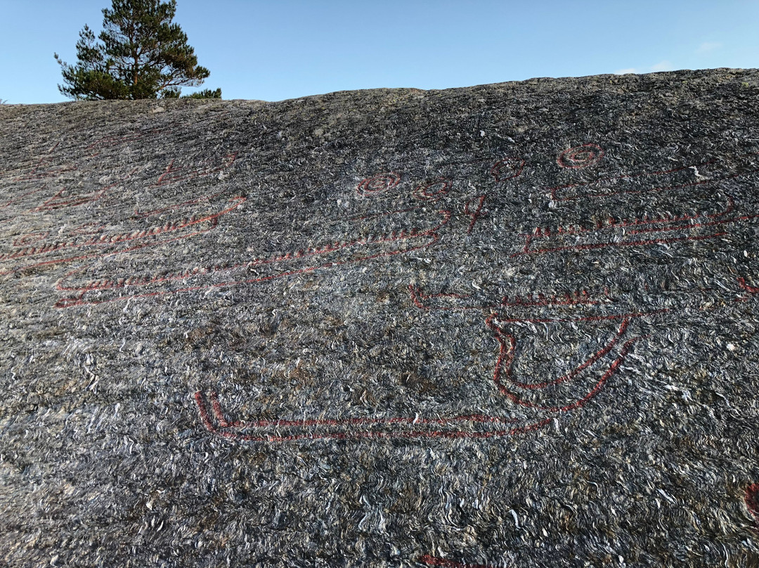 The Prehistoric Rock-Carvings at Solbakk景点图片